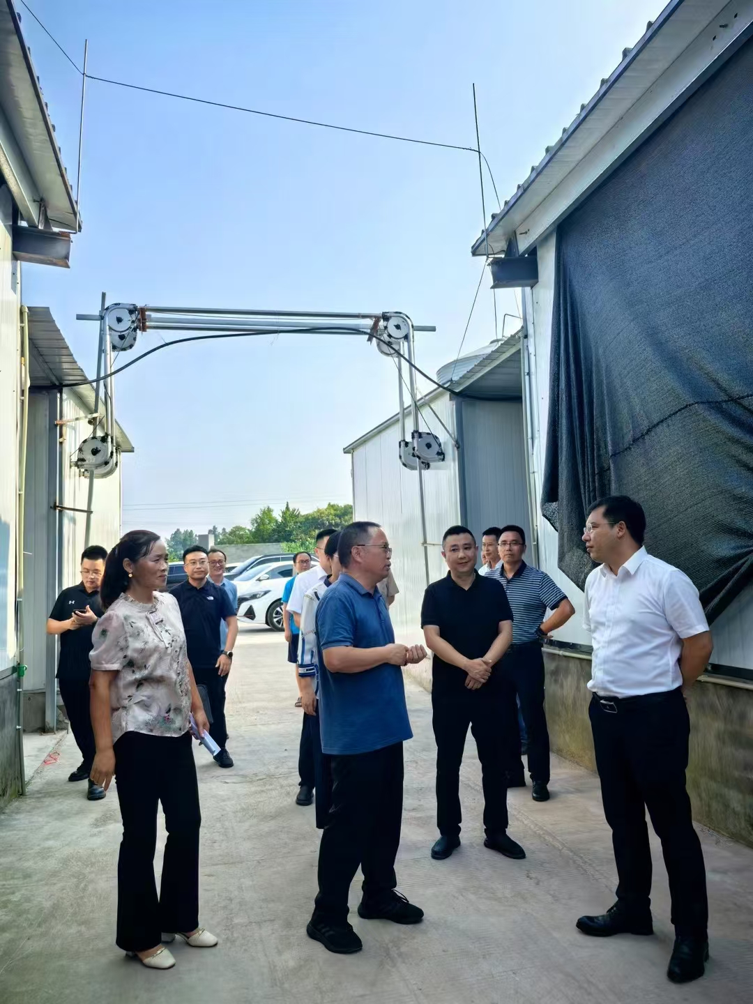 曾建軍調(diào)研九升鵪鶉曾壩養(yǎng)殖基地